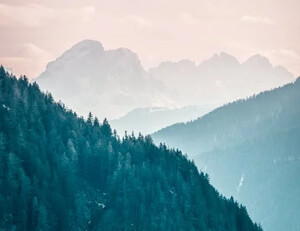 https://dnidn.cn/zb_users/theme/Dillon/style/random/8.jpg